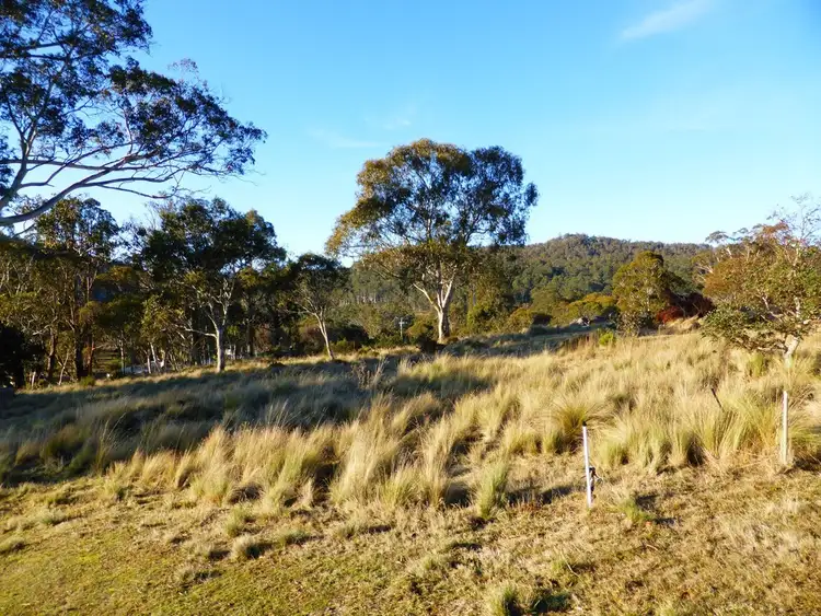 Third view of Homely land listing, 25 Bronte Estate Road, Bronte Park TAS 7140