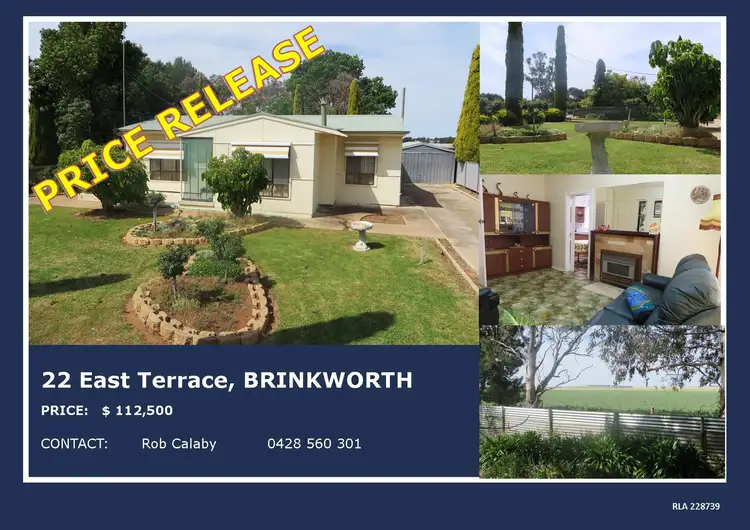 22 East Terrace, Brinkworth SA 5464