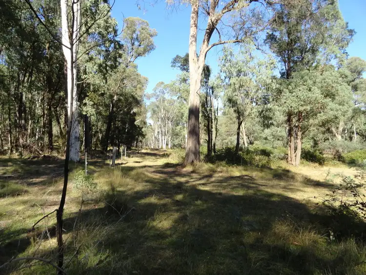 Second view of Homely rural property listing, Lots 8,9 &13 Firebrace Track, Granya VIC 3701