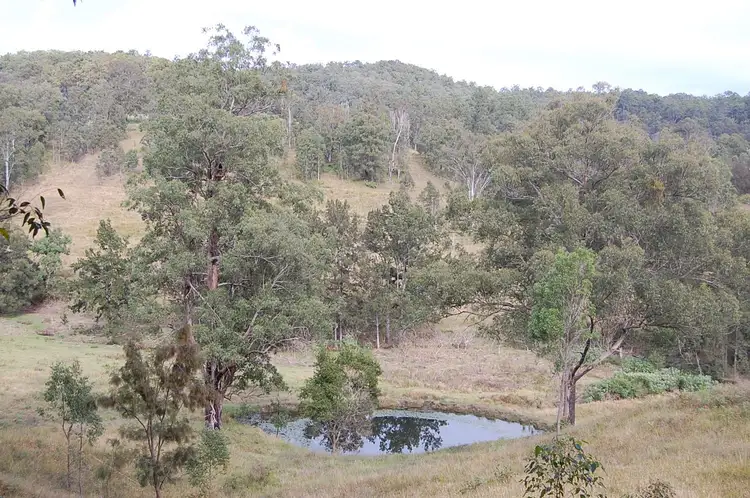 Second view of Homely rural property listing, 544 Duck Creek Road, Old Bonalbo NSW 2469