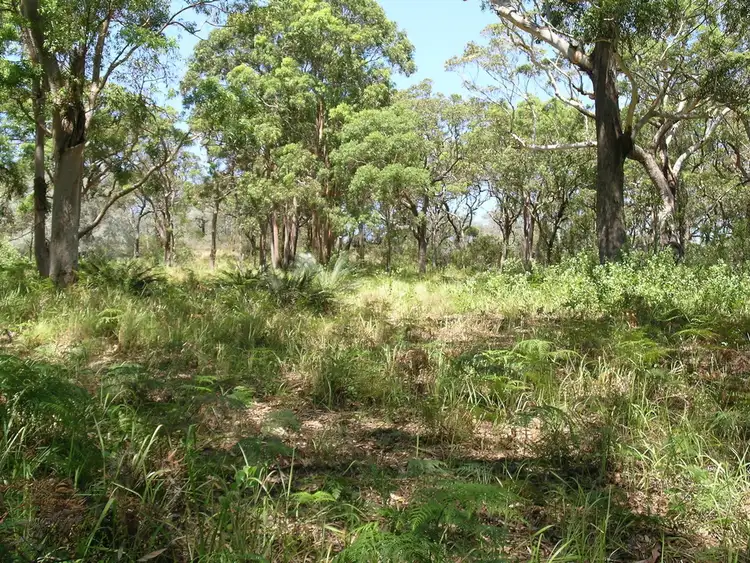 Fifth view of Homely rural property listing, 242 & 248 Gan Gan Road, Anna Bay NSW 2316