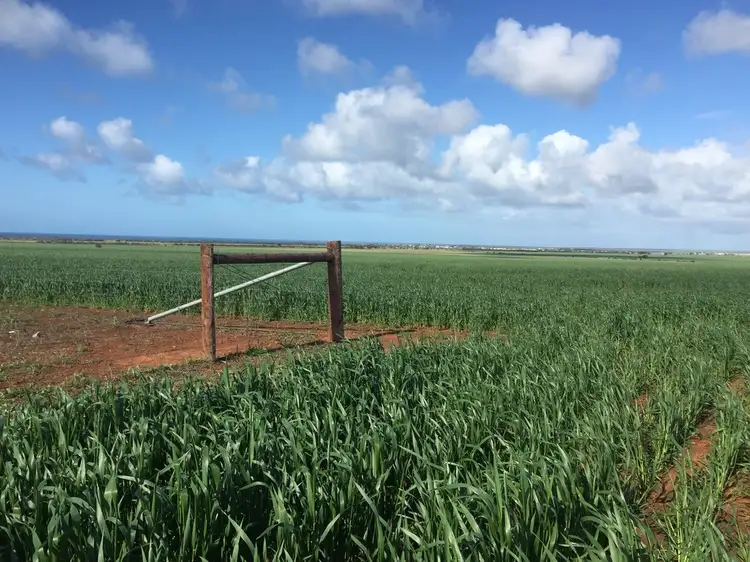 Fifth view of Homely land listing, Lot 1 Mine Hill Road, Tumby Bay SA 5605