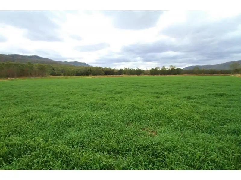 Main view of Homely rural property listing, Address available on request