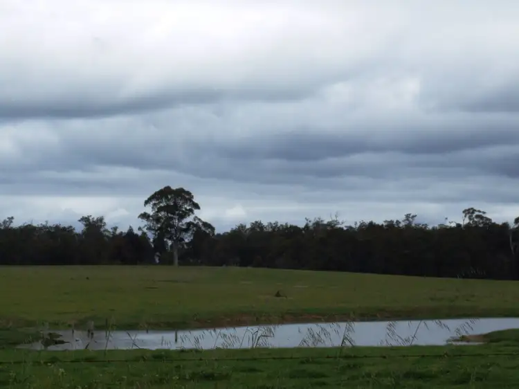 Seventh view of Homely rural property listing, 384 West Boundary Road, Manjimup WA 6258