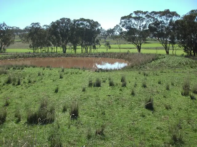 Third view of Homely house listing, 693 Swinging Ridges Road, Ardglen NSW 2338