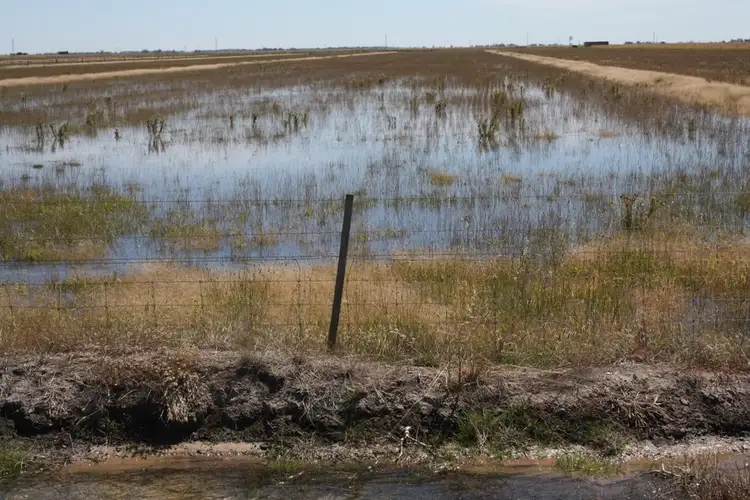 Sixth view of Homely rural property listing, 0 Gum Point, Naracoorte SA 5271