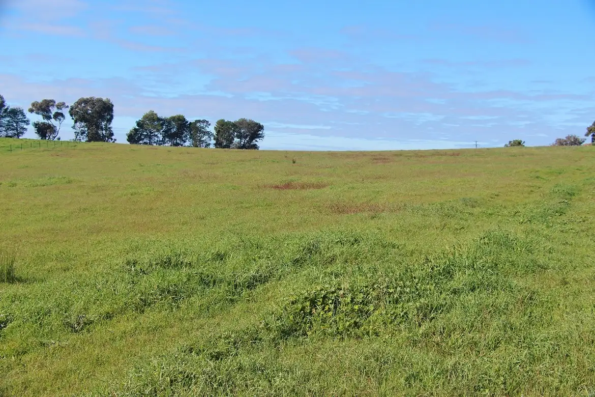 Main view of Homely land listing, Address available on request