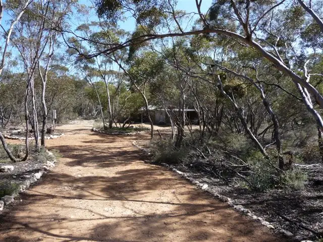 Third view of Homely rural property listing, Sect 383 Black Hill Rd, Cambrai SA 5353