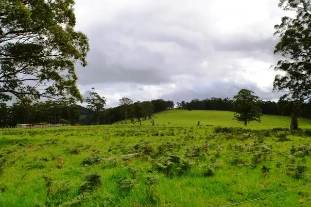 Seventh view of Homely rural property listing, Lot 107 Costigans Road, Yarras NSW 2446
