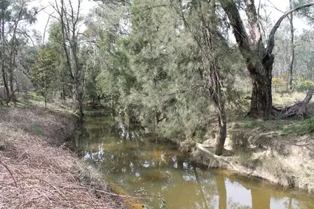 Fifth view of Homely rural property listing, 1972 Triamble Road, Mudgee NSW 2850