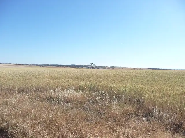 Fifth view of Homely rural property listing, Lot 801 Parker Road, York WA 6302