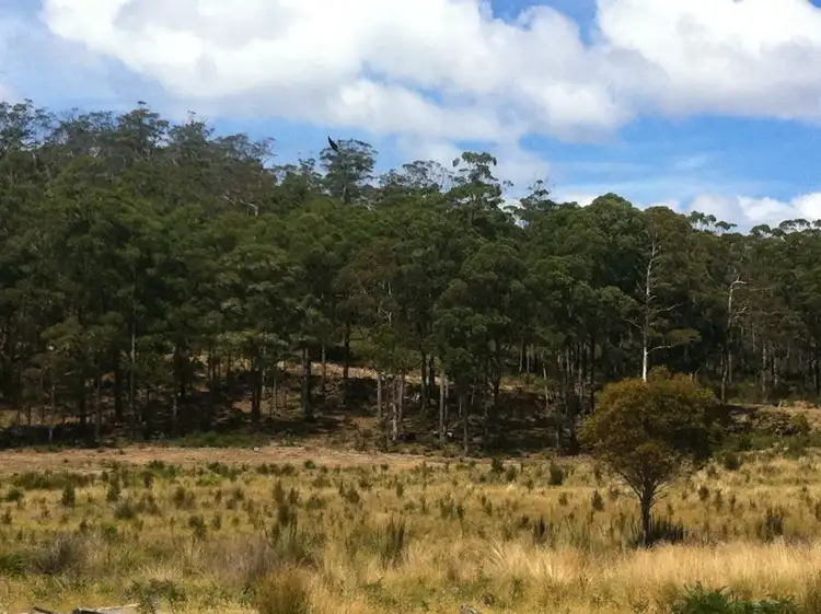 Sixth view of Homely land listing, 258 Bezzants Road, Nugent TAS 7172