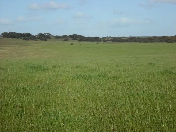 1564 Emu springs Road, Tintinara SA 5266