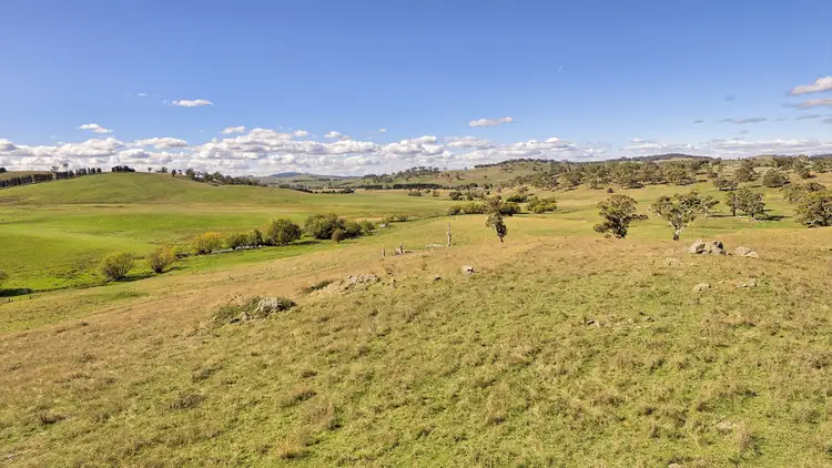 Fourth view of Homely rural property listing, 192 Summer Hill Lane, Orange NSW 2800