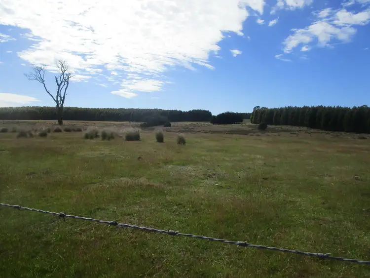 Seventh view of Homely rural property listing, - Loongana Road, Nietta TAS 7315