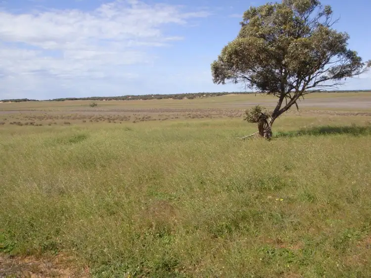 Fifth view of Homely rural property listing, 49 and 51 Tori Hills Road, Karoonda SA 5307