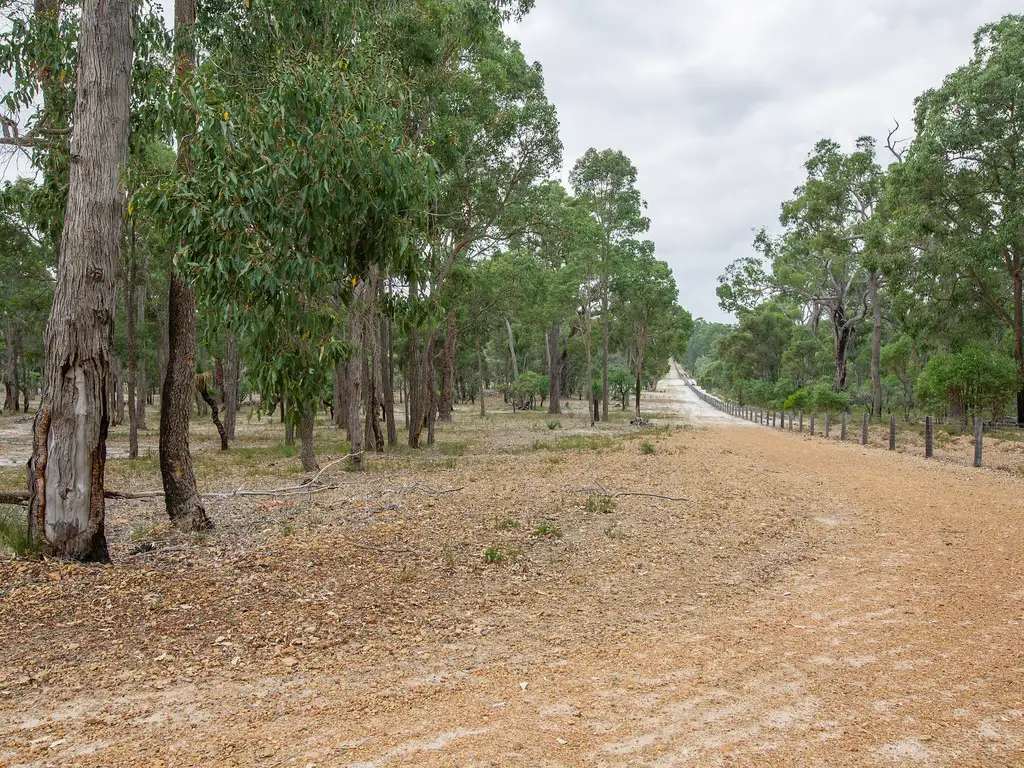 Main view of Homely rural property listing, Lot 14 Reaper Road, Cardiff WA 6225
