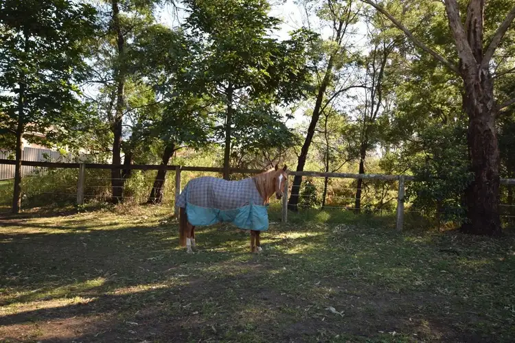 Sixth view of Homely land listing, 1B Halstead Place, Bomaderry NSW 2541