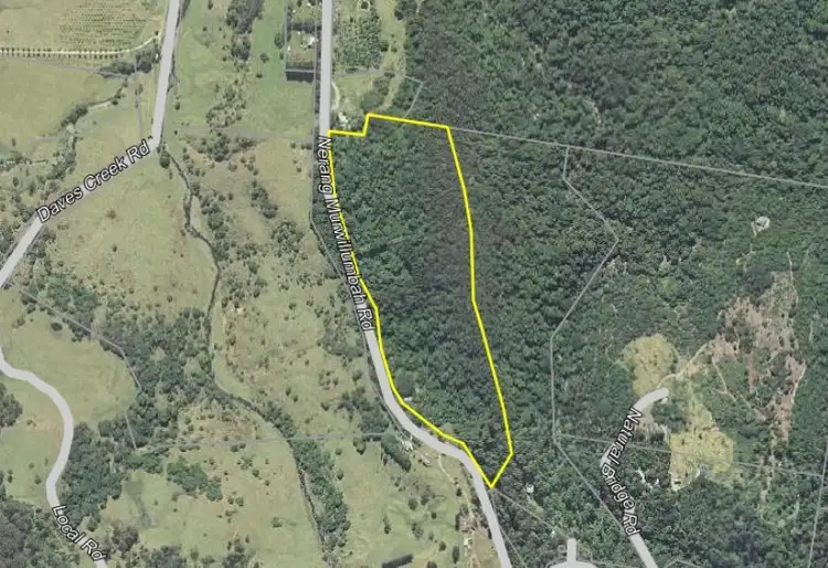 3233 NERANG-MURWILLUMBAH ROAD, Natural Bridge QLD 4211