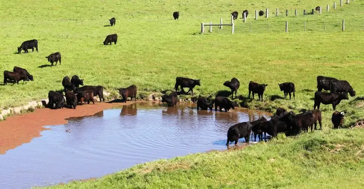 Second view of Homely rural property listing, 1642 South Gippsland Highway, Woodside VIC 3874