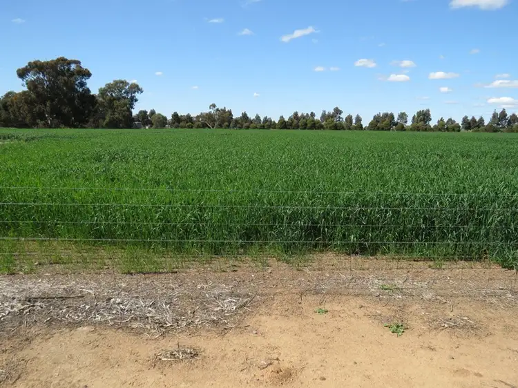 Sixth view of Homely rural property listing, 21380 Riverina Highway, Deniliquin NSW 2710