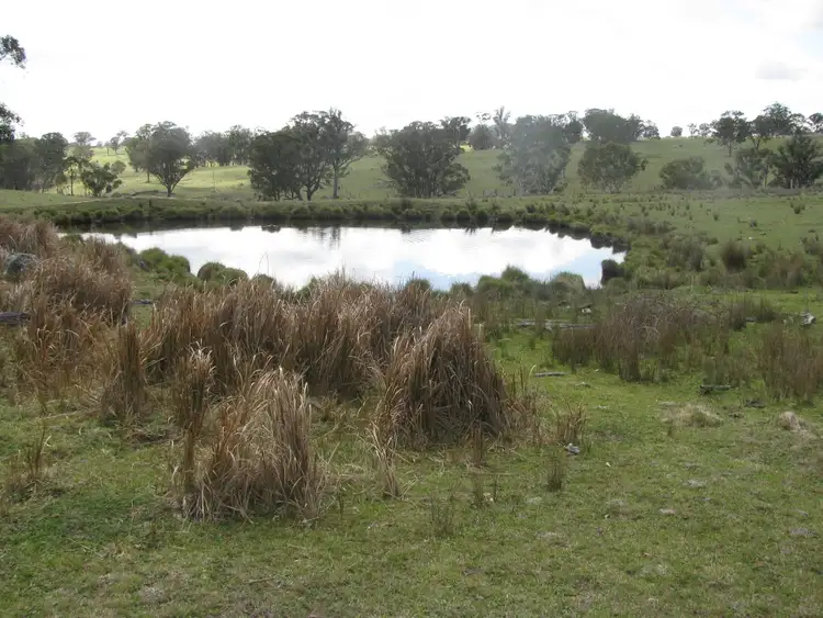 Main view of Homely rural property listing, 197 Spring Camp   road, Enmore NSW 2350