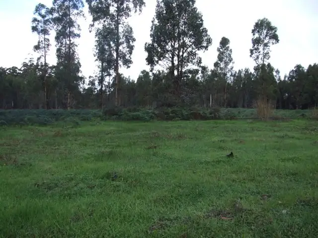 Fourth view of Homely rural property listing, Lot 40 WOYLIE ROAD, Northcliffe WA 6262