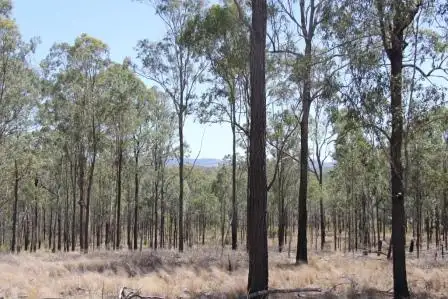 Sixth view of Homely rural property listing, Address available on request