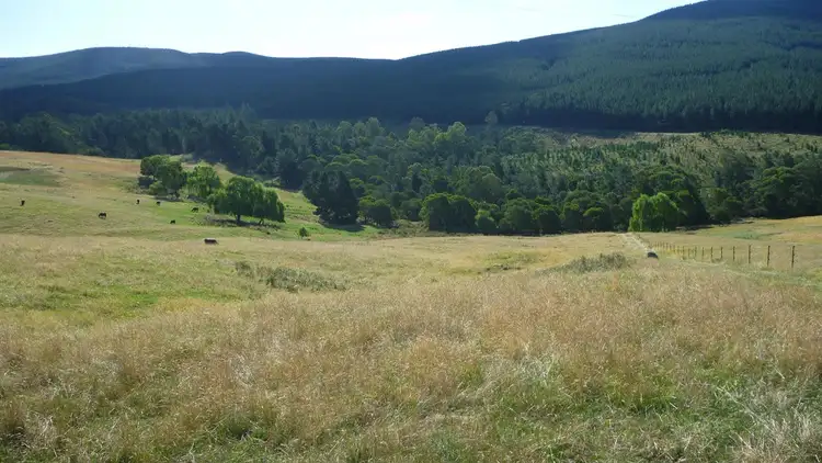 Sixth view of Homely rural property listing, Lot 3 Old Tumbarumba Road, Tumut NSW 2720