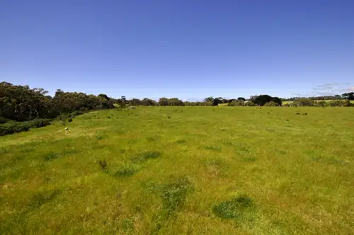 Third view of Homely rural property listing, 150 McCanns Road, Mount Duneed VIC 3217