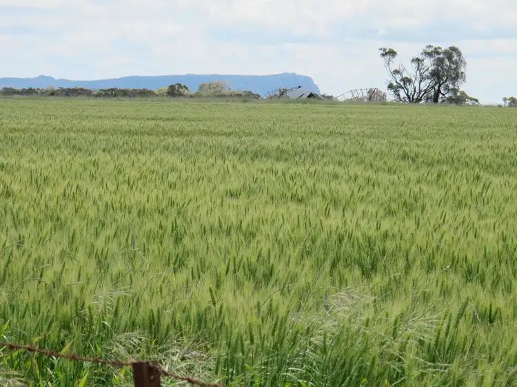 Main view of Homely rural property listing, 175 Noradjuha Tooan East Road, Horsham VIC 3400