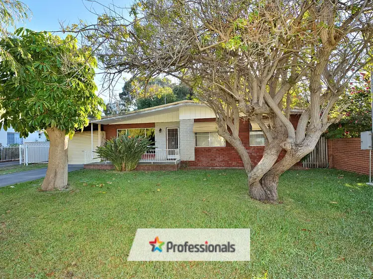 Main view of Homely house listing, 14 Flavia Street, Falcon WA 6210
