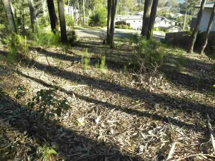 Fifth view of Homely land listing, 23 Litchfield Crescent, Long Beach NSW 2536