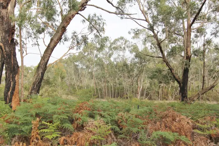 Sixth view of Homely rural property listing, 4445 South Gippsland Hwy, Stradbroke VIC 3851