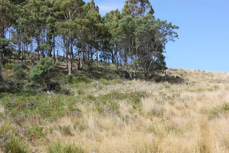 Seventh view of Homely house listing, 1054 Mud Walls Road, Colebrook TAS 7027