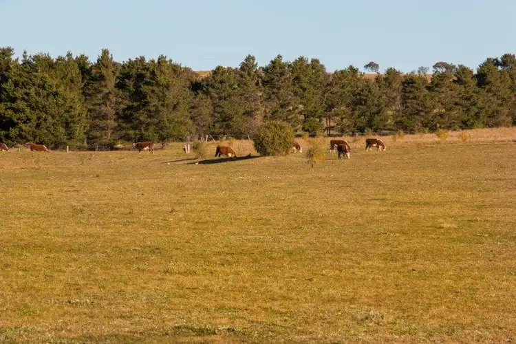 Second view of Homely rural property listing, Coolabah 88 Murrays Flat Rd, Goulburn NSW 2580
