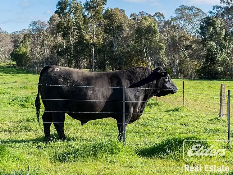 Third view of Homely rural property listing, 146 B Ken Hicks Road, Mount Pleasant SA 5235