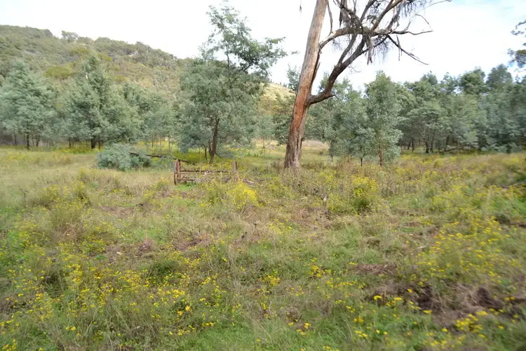 Fifth view of Homely rural property listing, 6502 Castlereagh Highway, Mudgee NSW 2850