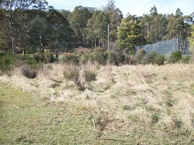 45 Lee Street, Rossarden TAS 7213