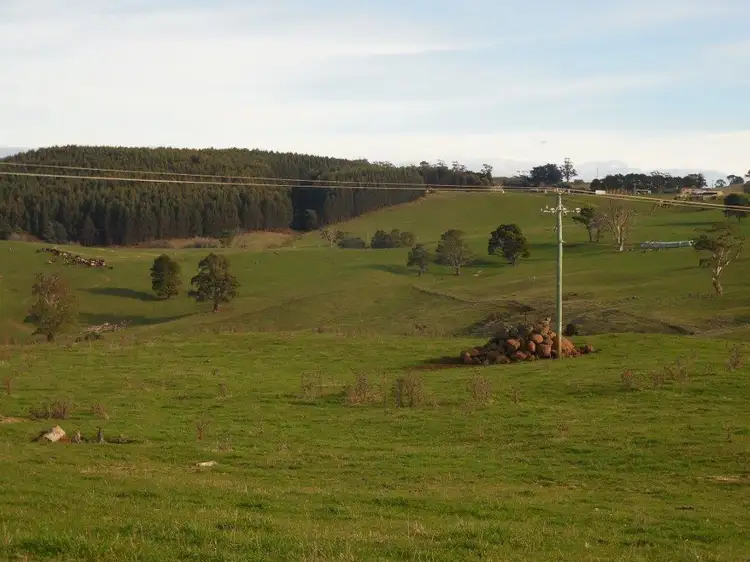 31315 TASMAN HIGHWAY, Winnaleah TAS 7265