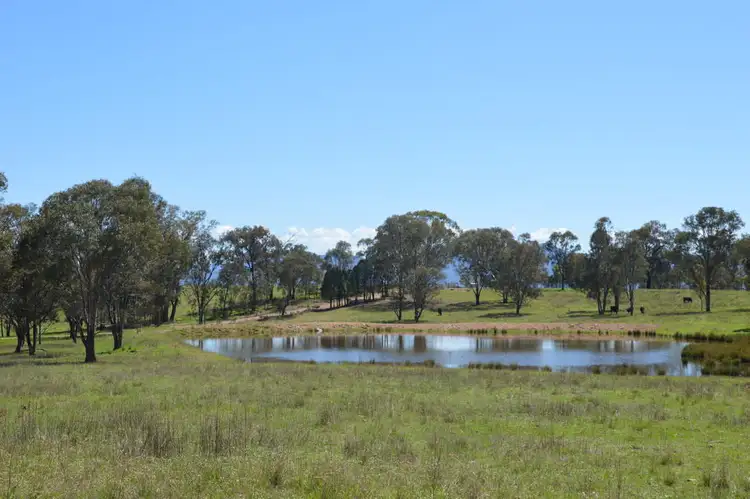 Sixth view of Homely rural property listing, Lot 13 Genowlan Road, Glen Alice NSW 2849