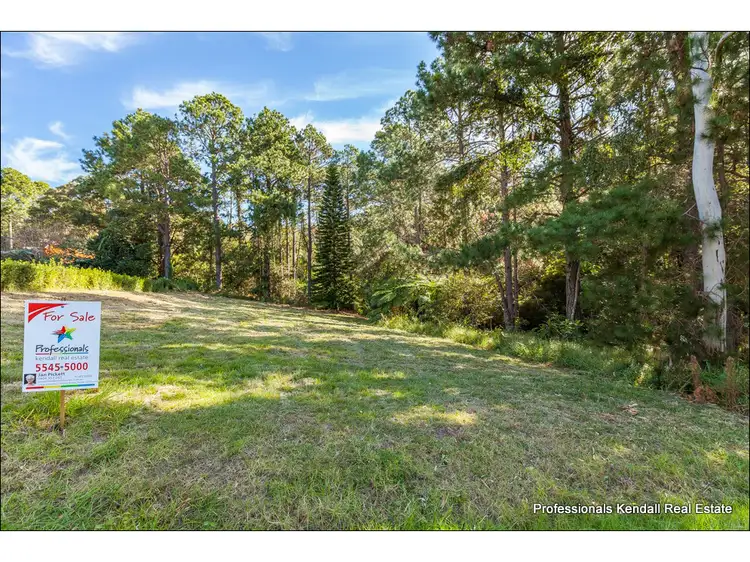Main view of Homely land listing, 12 Demavend Drive, Tamborine Mountain QLD 4272