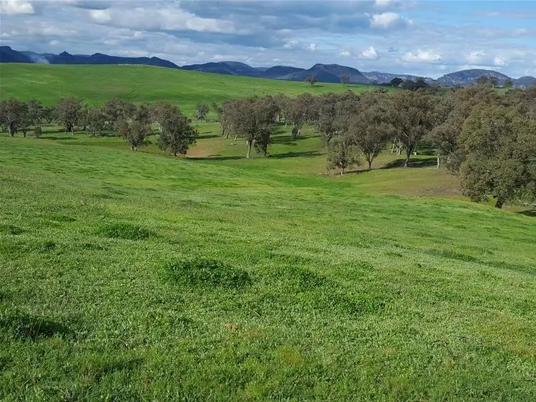 Fifth view of Homely rural property listing, 3142 Lue Road, Mudgee NSW 2850