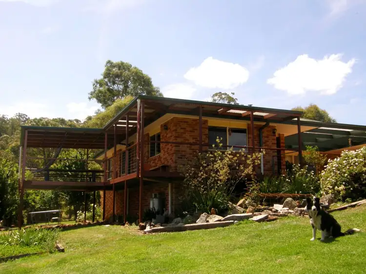 Second view of Homely rural property listing, 481 Myrtle Mountain Road, Wyndham NSW 2550