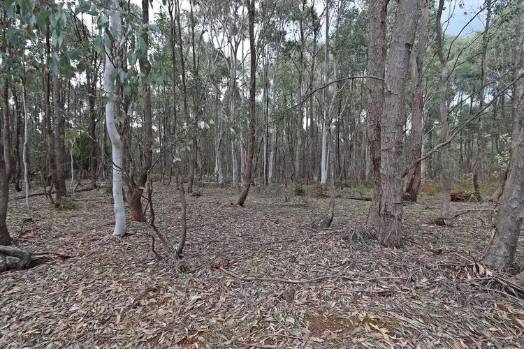 Seventh view of Homely land listing, 537 Broadleaf Park Road, Rosewood NSW 2652