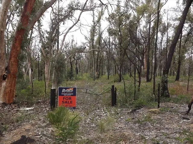 Main view of Homely land listing, Passchendale Timor Road, Coonabarabran NSW 2357