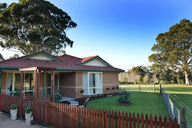 55 AMBERLY DRIVE, Nicholson VIC 3882
