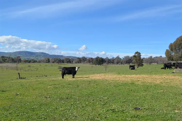 Third view of Homely house listing, Lot 21 Twomeys Lane ( Lot 1 Withers Lane), Tumut NSW 2720