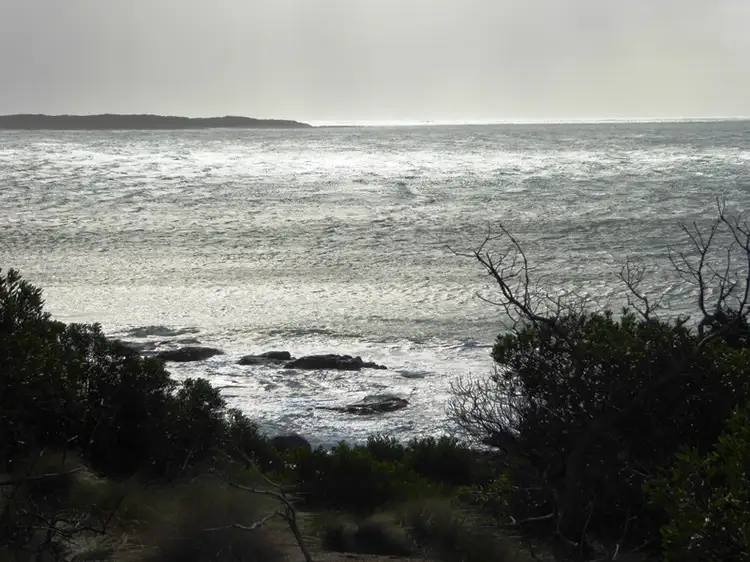 Seventh view of Homely land listing, PID 7557661 North East River Road, Flinders Island TAS 7255