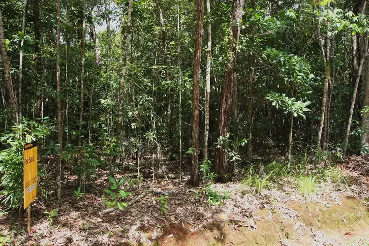 Fourth view of Homely land listing, Lot 183 Silky Oak Road COW BAY, Daintree QLD 4873